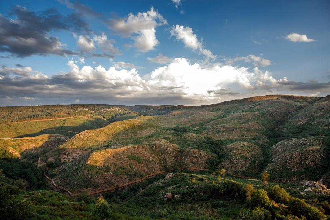 Апартаменти Quinta Do Pina Гуарда Екстер'єр фото