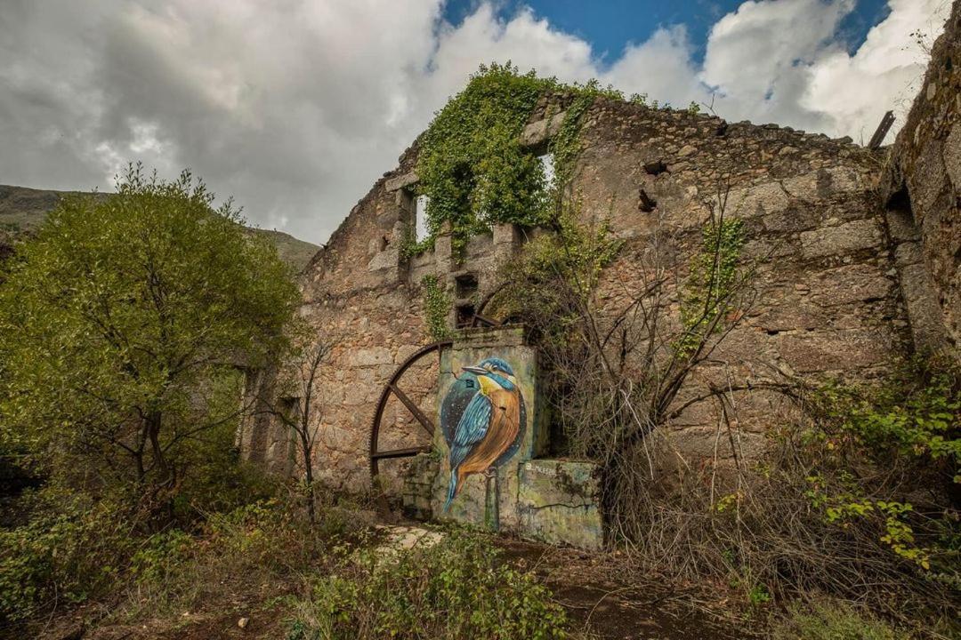 Апартаменти Quinta Do Pina Гуарда Екстер'єр фото